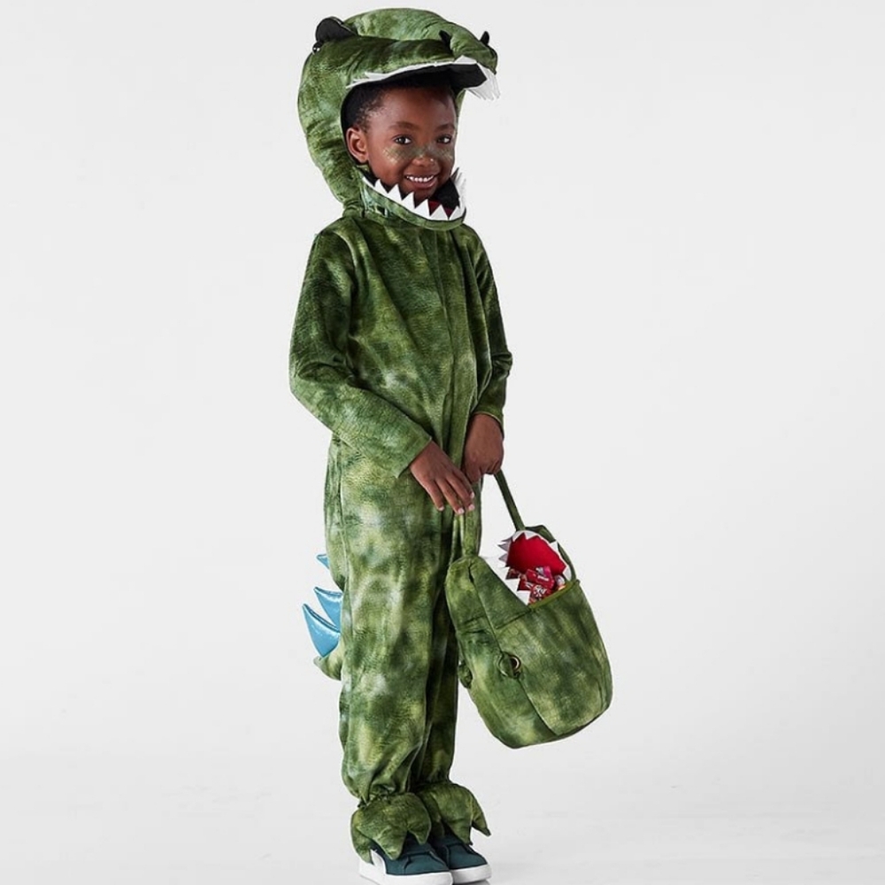 Pottery Barn Kids Green Dinosaur Costume